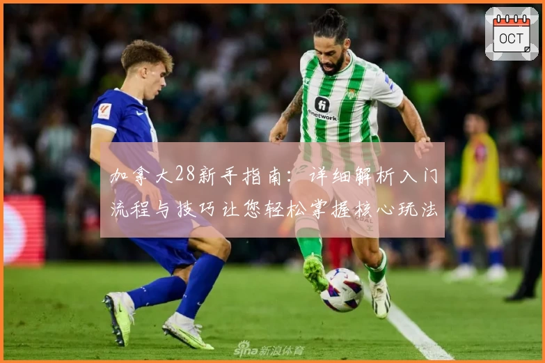 加拿大28新手指南：详细解析入门流程与技巧让您轻松掌握核心玩法