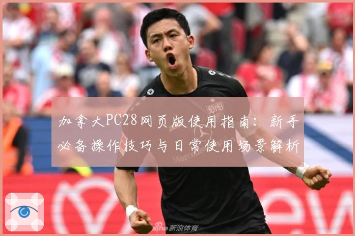 加拿大PC28网页版使用指南：新手必备操作技巧与日常使用场景解析