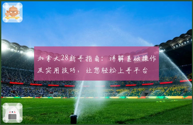 加拿大28新手指南：详解基础操作及实用技巧，让您轻松上手平台