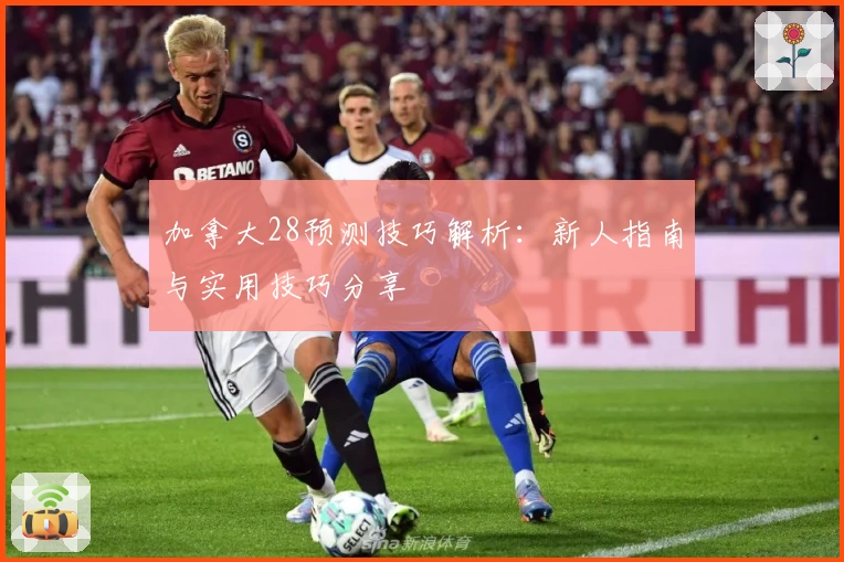 加拿大28预测技巧解析：新人指南与实用技巧分享
