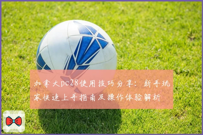 加拿大pc28使用技巧分享:新手玩家快速上手指南及操作体验解析