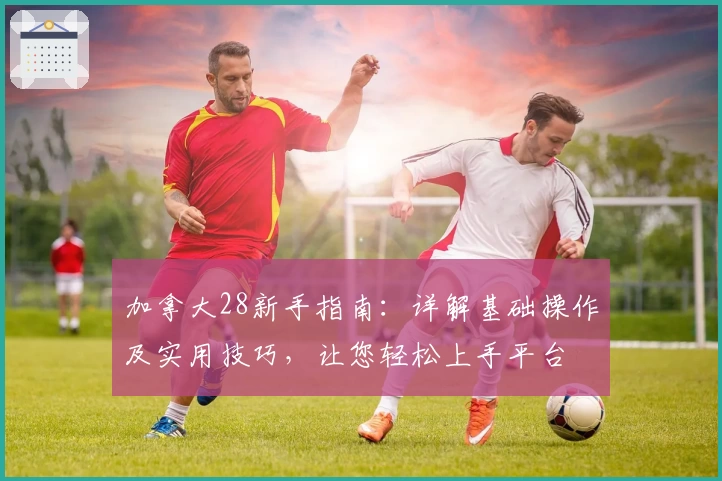 加拿大28新手指南：详解基础操作及实用技巧，让您轻松上手平台