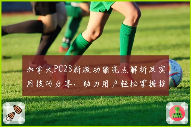 加拿大PC28新版功能亮点解析及实用技巧分享，助力用户轻松掌握核心操作