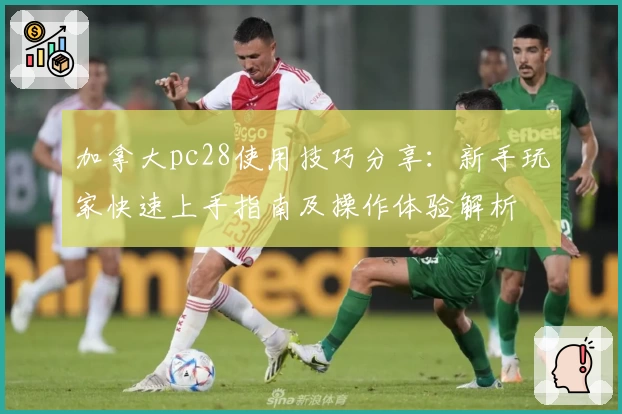 加拿大pc28使用技巧分享：新手玩家快速上手指南及操作体验解析