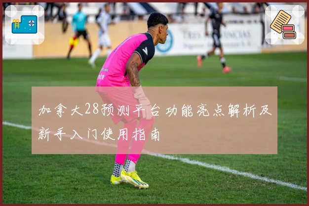 加拿大28预测平台功能亮点解析及新手入门使用指南