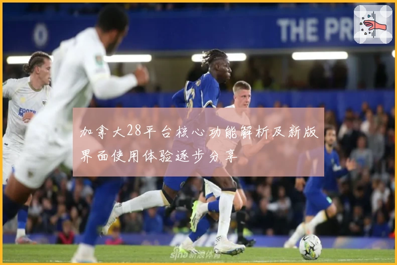 加拿大28平台核心功能解析及新版界面使用体验逐步分享