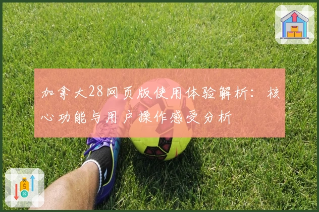 加拿大28网页版使用体验解析：核心功能与用户操作感受分析